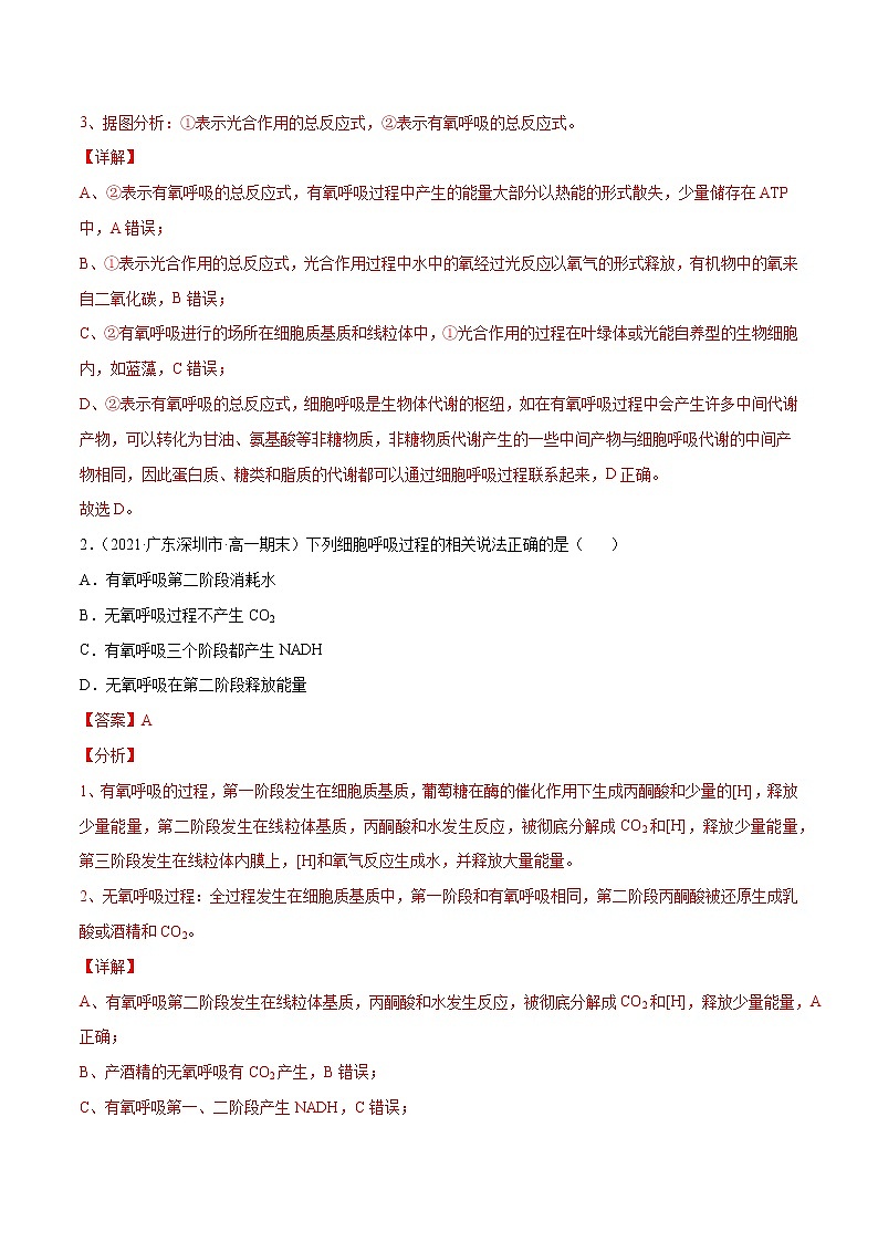 高中生物高考解密05 ATP的主要来源（分层训练）（解析版）第2页