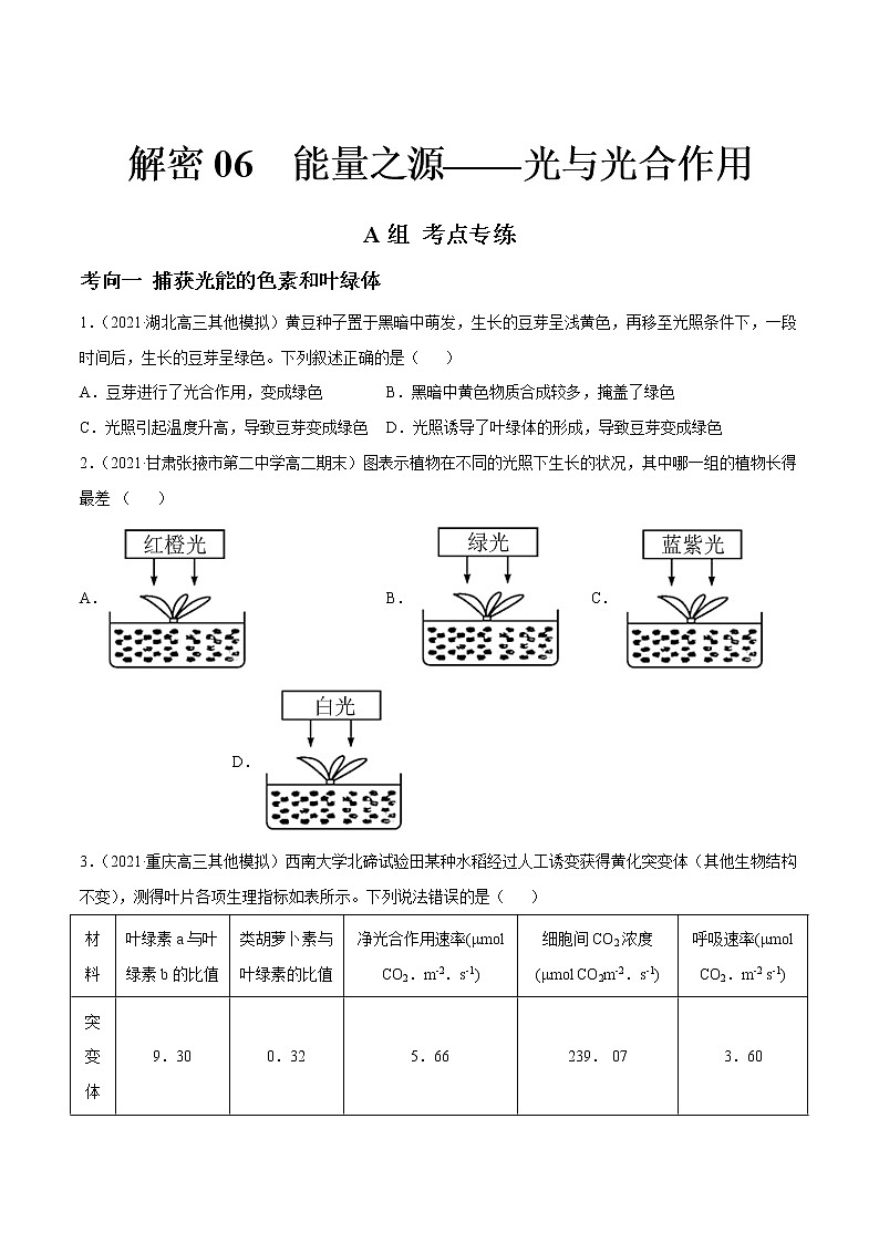 高中生物高考解密06 能量之源——光与光合作用（分层训练）（原卷版）第1页