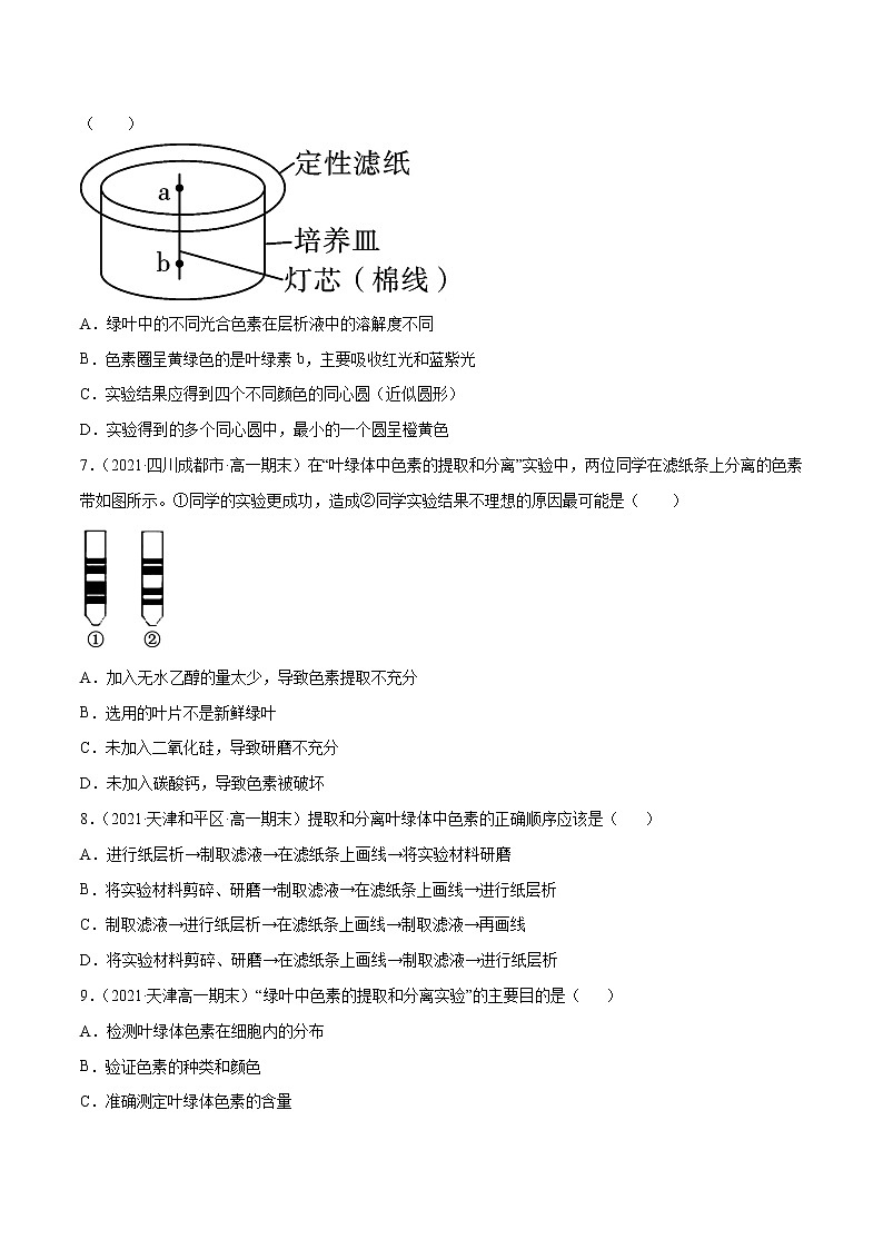 高中生物高考解密06 能量之源——光与光合作用（分层训练）（原卷版）第3页