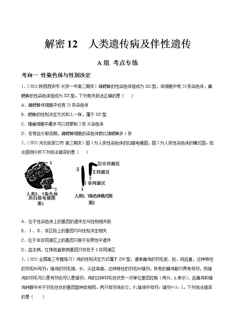 高中生物高考解密12 人类遗传病及伴性遗传（分层训练）（原卷版）第1页