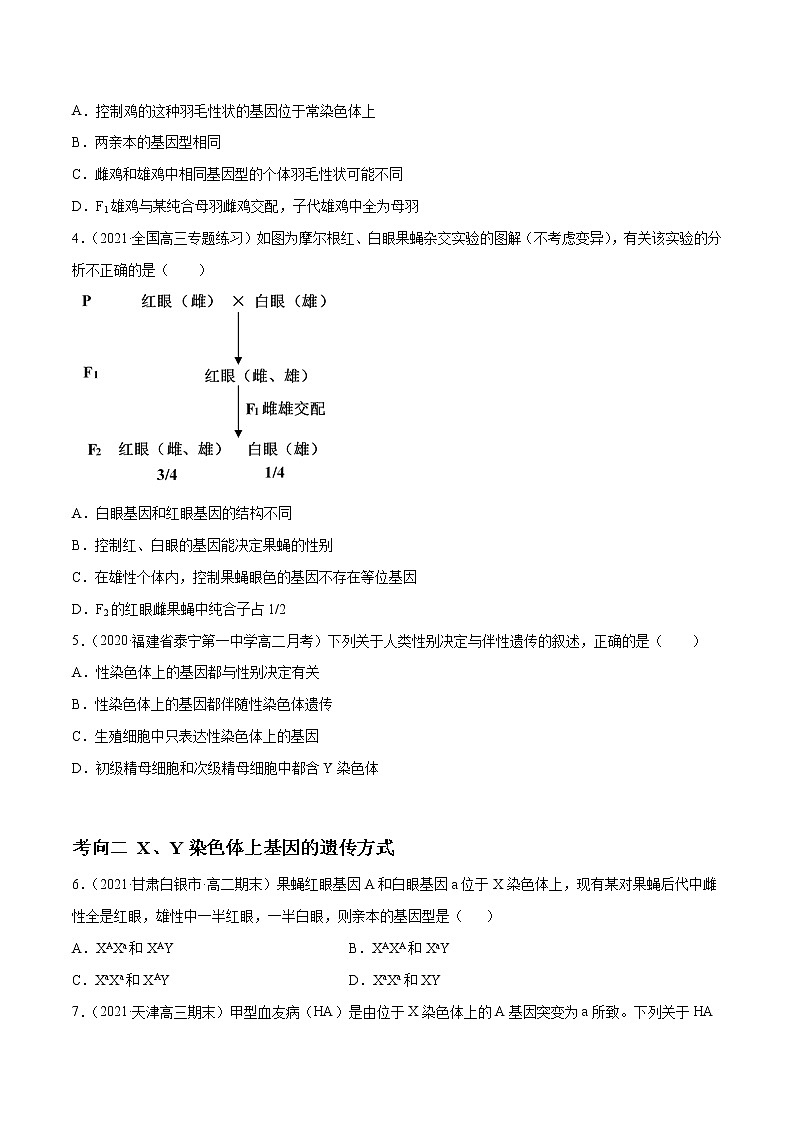 高中生物高考解密12 人类遗传病及伴性遗传（分层训练）（原卷版）第2页