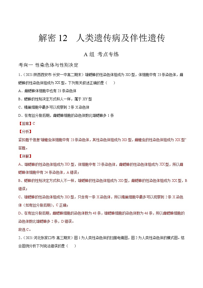 高中生物高考解密12 人类遗传病及伴性遗传（分层训练）（解析版）第1页