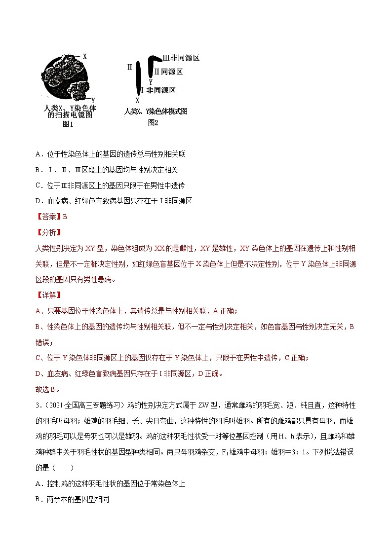 高中生物高考解密12 人类遗传病及伴性遗传（分层训练）（解析版）第2页