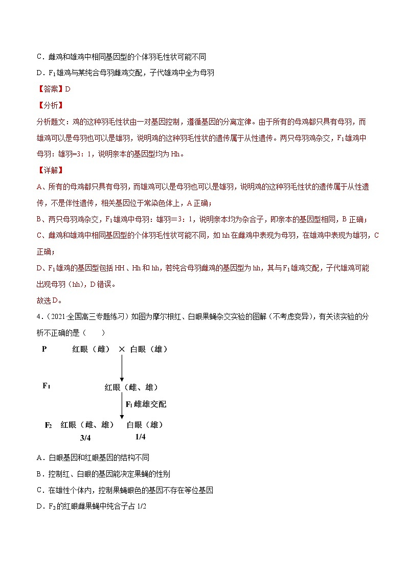 高中生物高考解密12 人类遗传病及伴性遗传（分层训练）（解析版）第3页