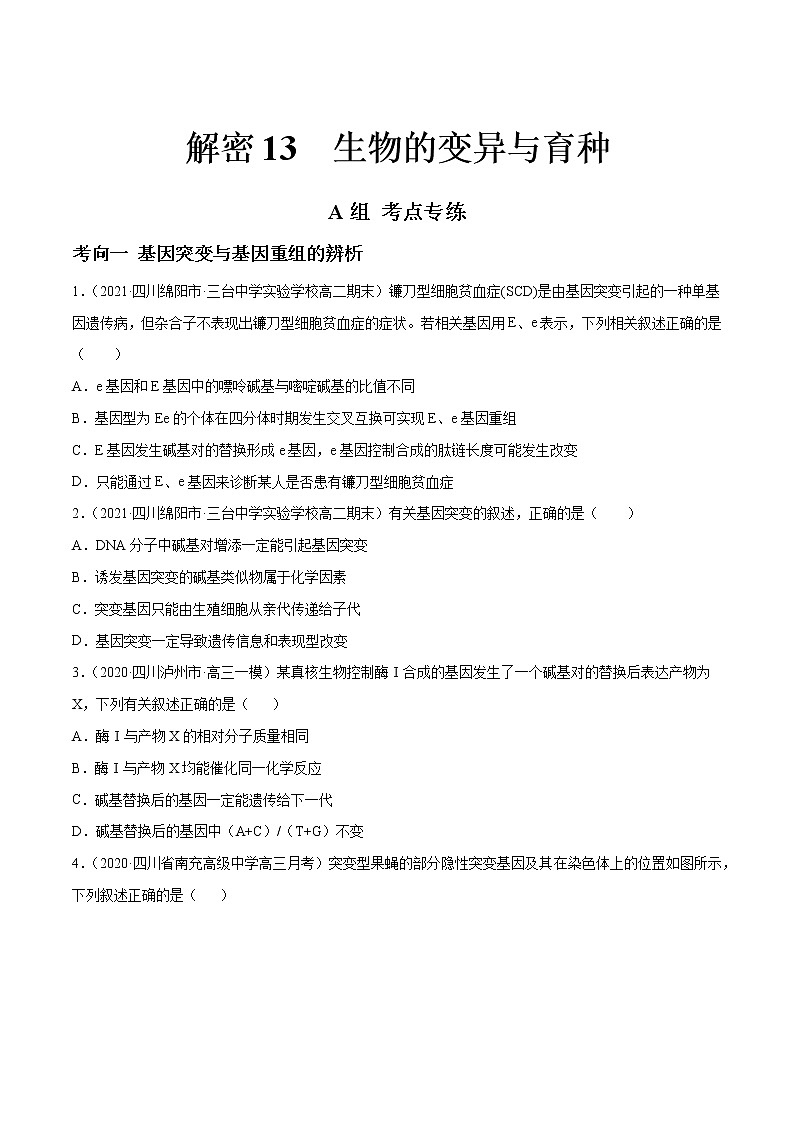 高中生物高考解密13 生物的变异与育种（分层训练）（原卷版）第1页