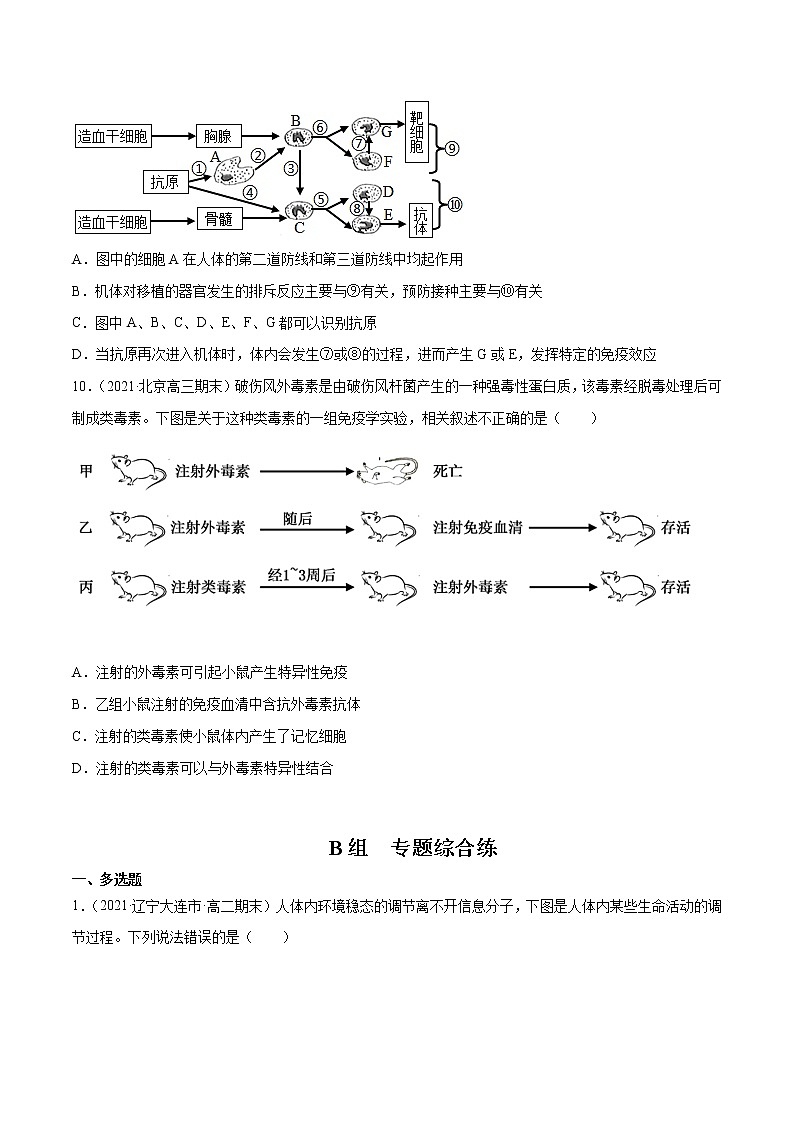 高中生物高考解密18 神经—体液—免疫（分层训练）（原卷版）03
