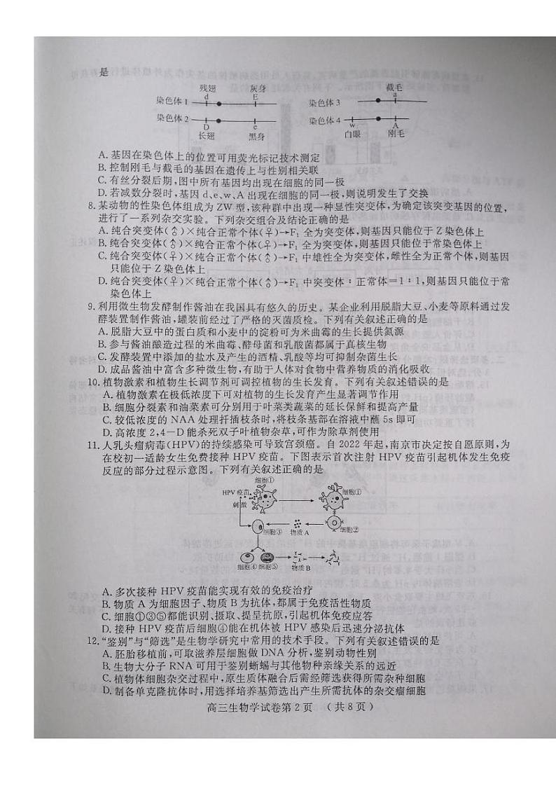 2023南京、盐城-高三下学期第二次模拟考试生物卷PDF含答案02