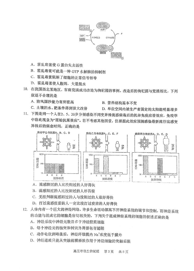 2023湖北省华中师范大学第一附中高三第二次学业检测生物试题PDF无答案第3页