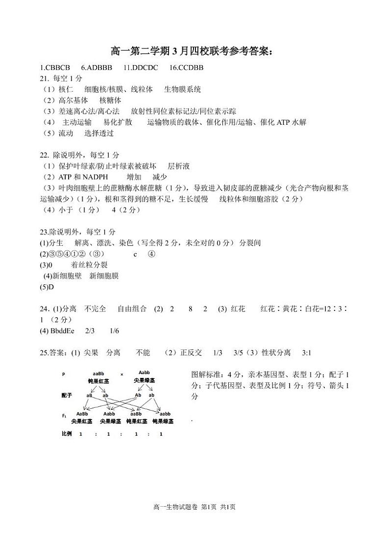 高一生物参考答案第1页
