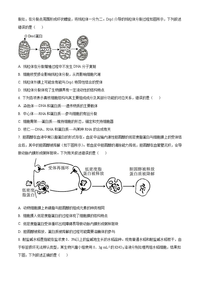 2023张掖某重点校高一下学期2月月考试题生物含答案第2页