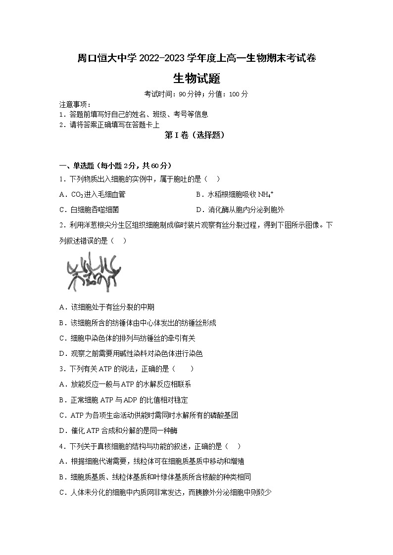 2023周口恒大中学高一上学期期末生物试题含解析第1页