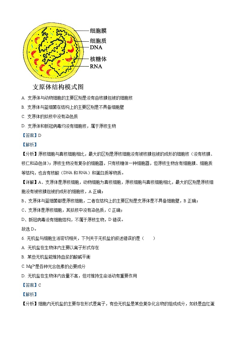 浙江省衢州市2022-2023学年高一上学期期末教学质量检测生物试题含解析第3页
