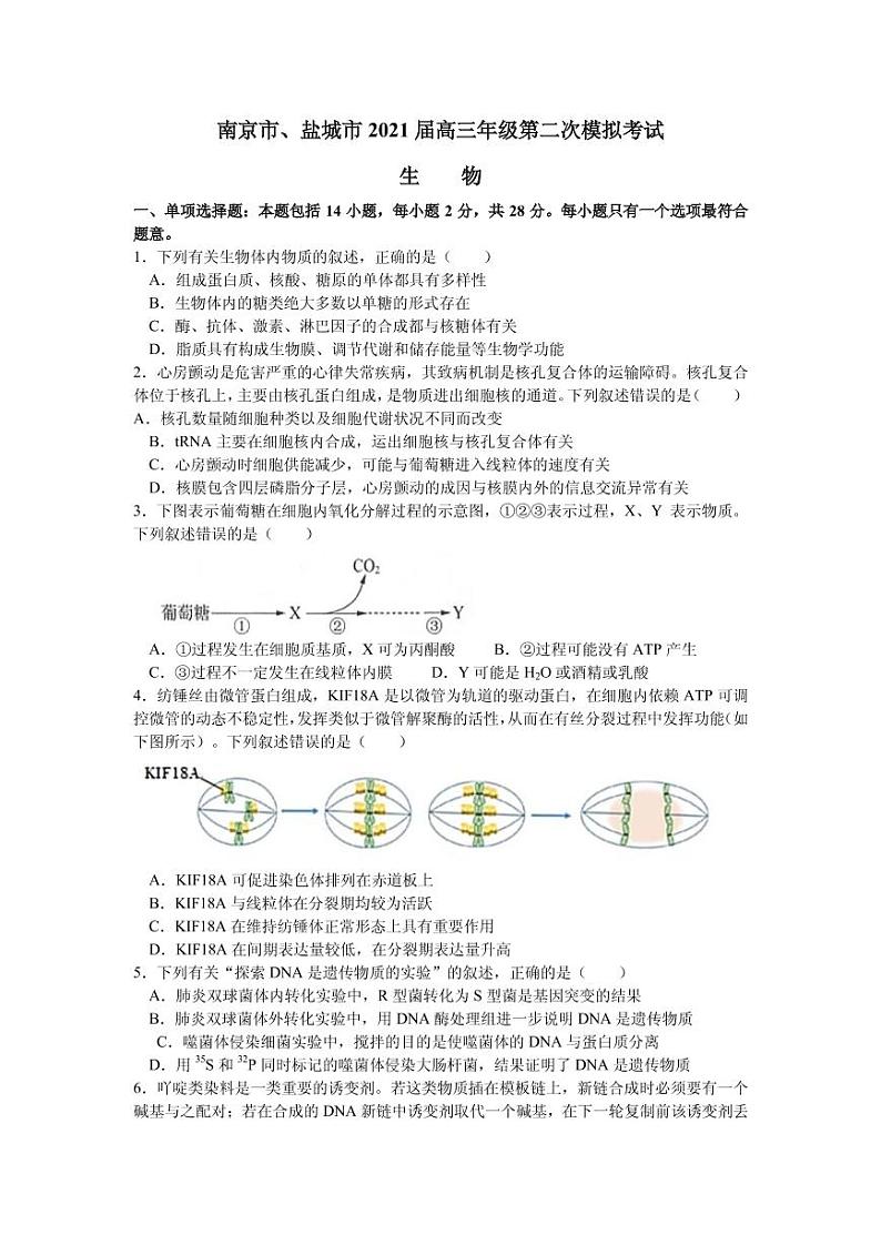 2021届江苏省南京市、盐城市高三下学期3月第二次模拟考试生物试题 PDF版01
