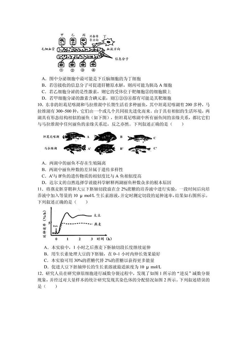 2021届江苏省南京市、盐城市高三下学期3月第二次模拟考试生物试题 PDF版03
