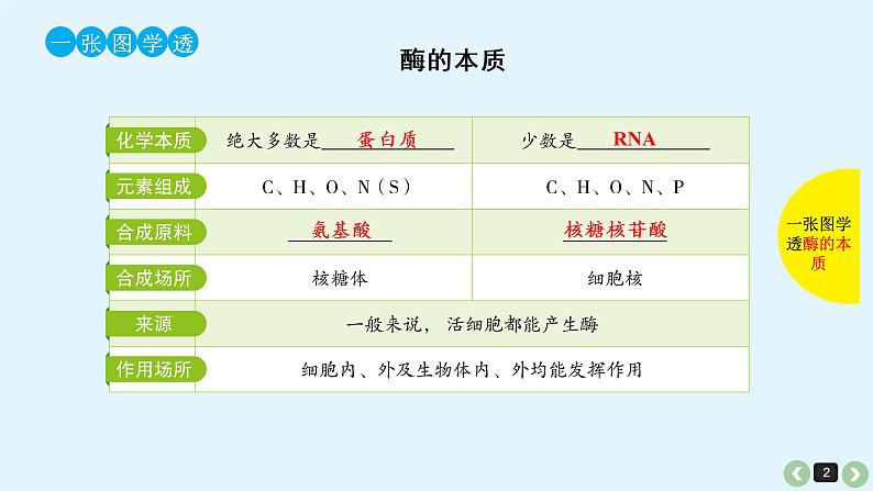 高中生物高考高考生物（全国版）一轮复习课件：第10课-酶第2页