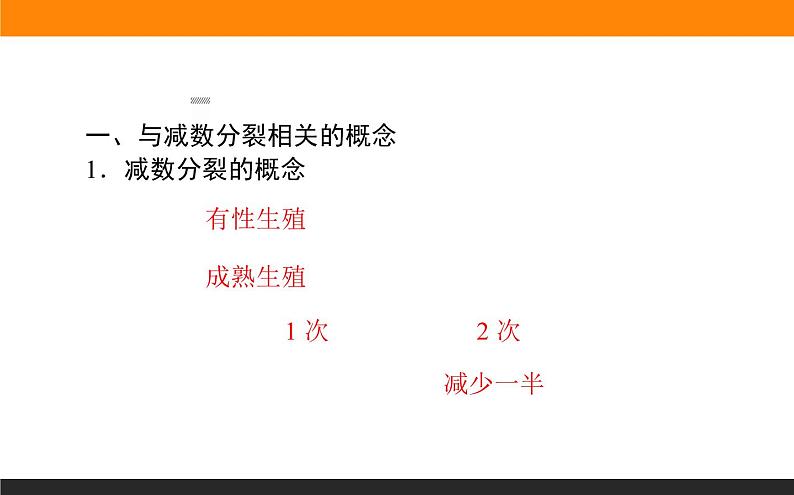 2.1.第1课时　减数分裂与精子和卵细胞的形成课件PPT第3页