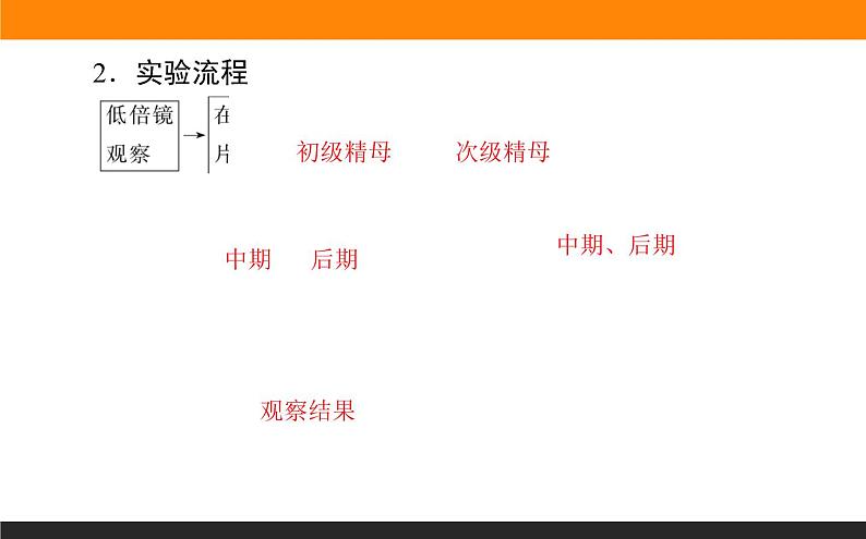 2.1.第2课时　减数分裂和受精作用课件PPT第4页