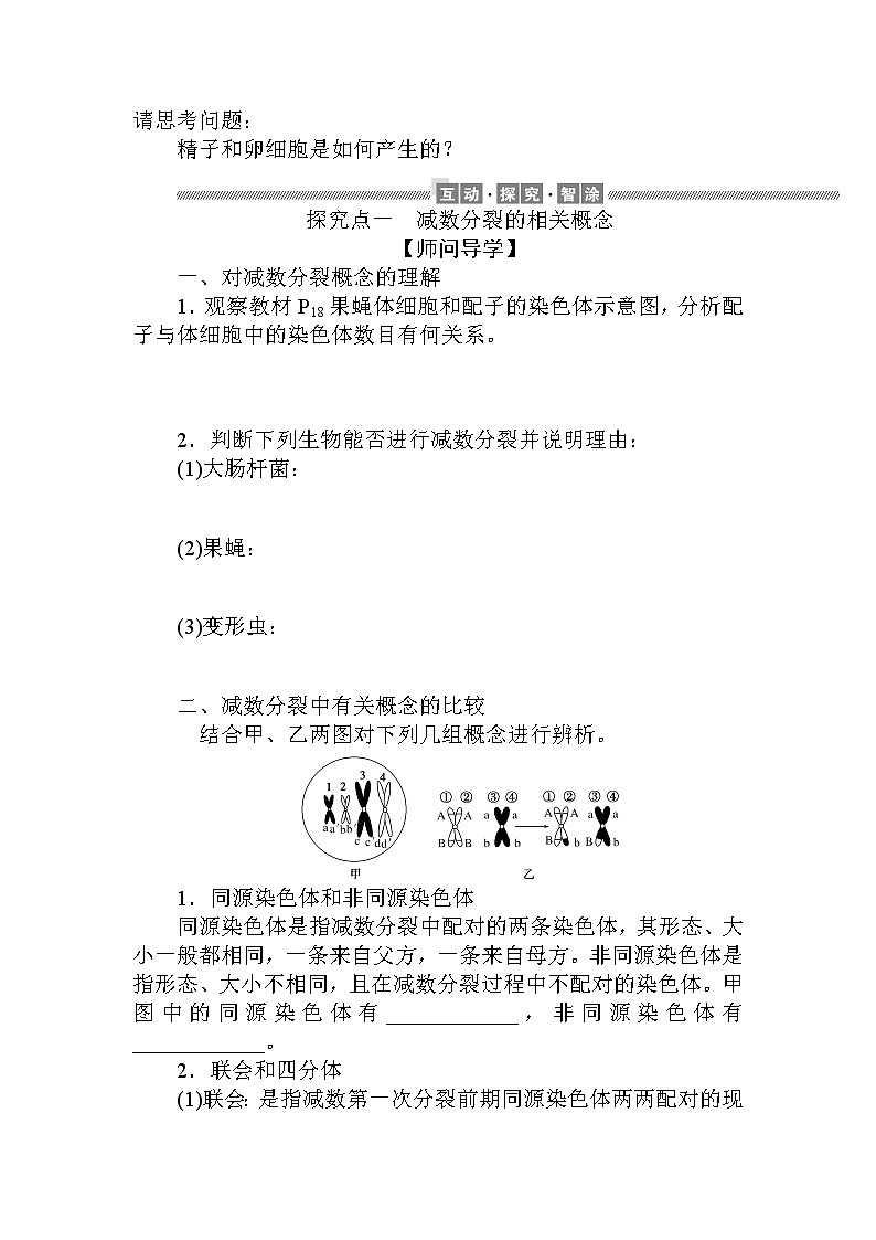 2.1.第1课时　减数分裂与精子和卵细胞的形成 试卷02