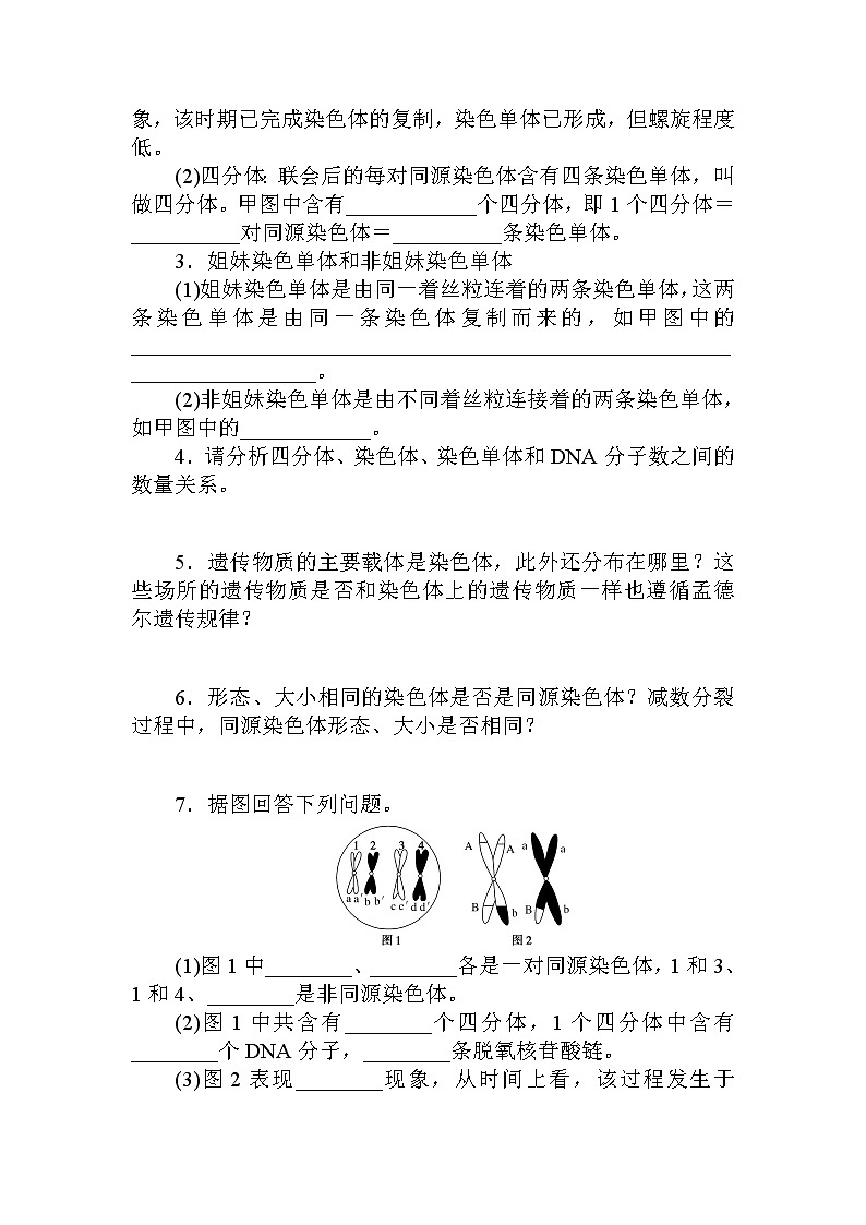 2.1.第1课时　减数分裂与精子和卵细胞的形成 试卷03