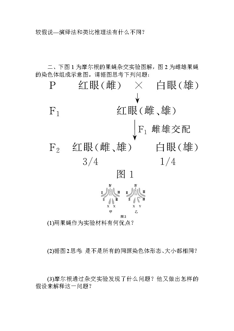 2.第2节　基因在染色体上 试卷03