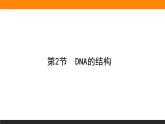 3.第2节　DNA的结构课件PPT