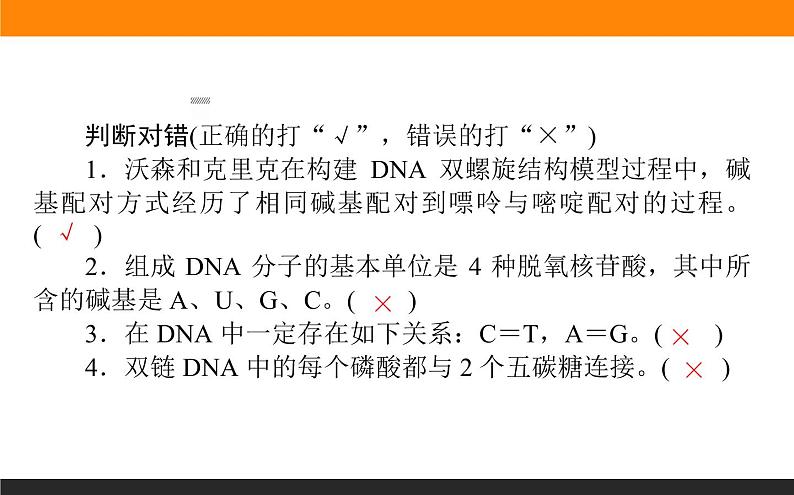 3.第2节　DNA的结构课件PPT第8页