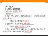 3.第3节　DNA的复制课件PPT
