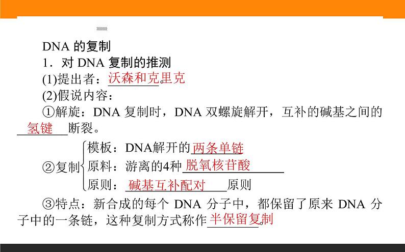 3.第3节　DNA的复制课件PPT第3页