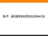 3.第4节　基因通常是有遗传效应的DNA片段课件PPT