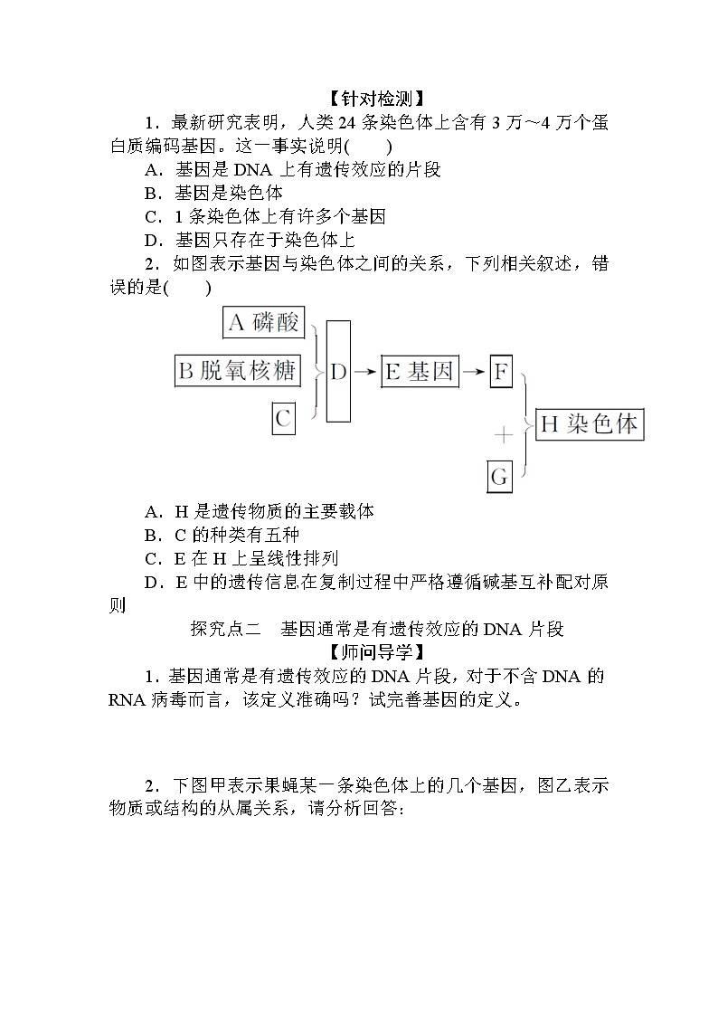 3.第4节　基因通常是有遗传效应的DNA片段第3页