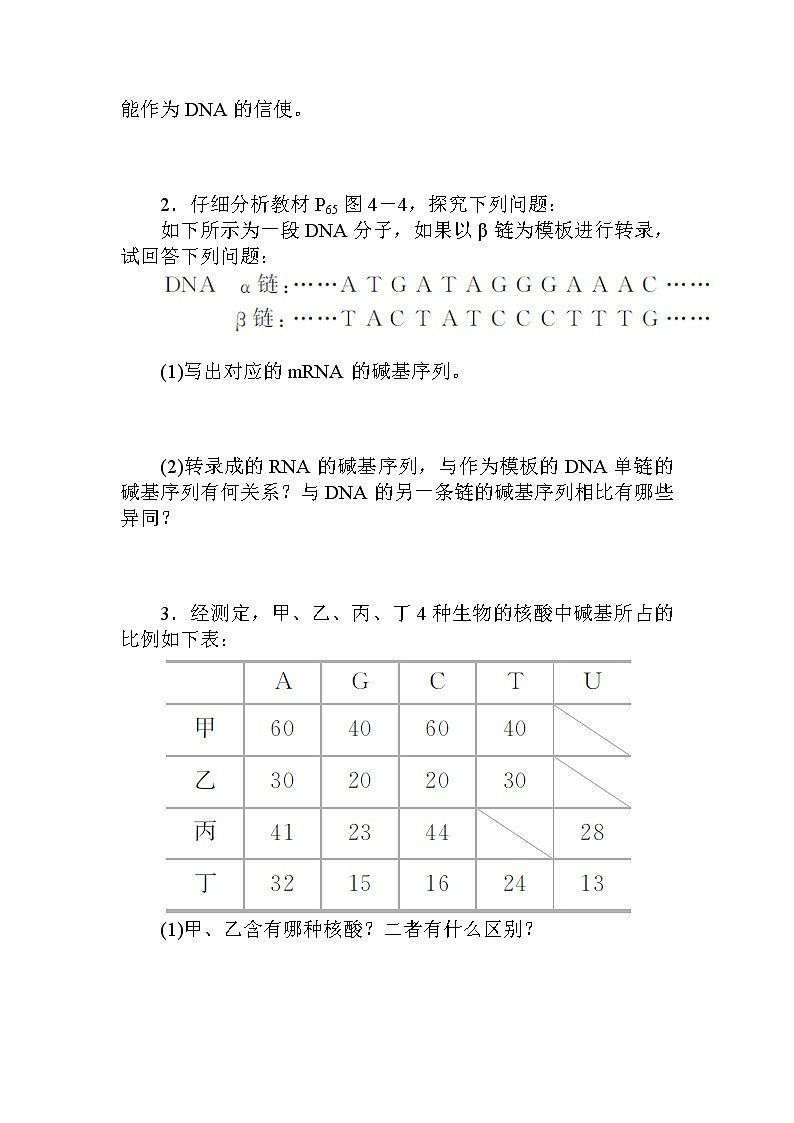 4.第1节　基因指导蛋白质的合成第2页