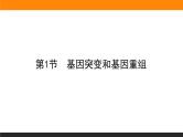 5.第1节　基因突变和基因重组课件PPT