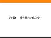 6.3.第1课时　种群基因组成的变化课件PPT