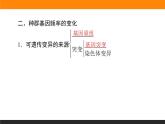 6.3.第1课时　种群基因组成的变化课件PPT
