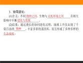 6.第4节　协同进化与生物多样性的形成课件PPT
