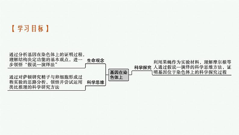 第2节　基因在染色体上课件PPT第3页