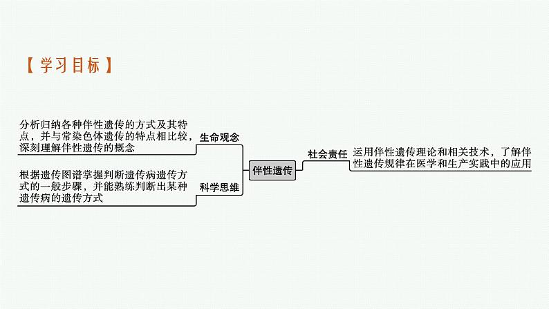 第3节　伴性遗传课件PPT03