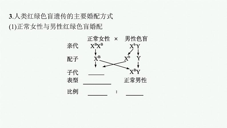 第3节　伴性遗传课件PPT07