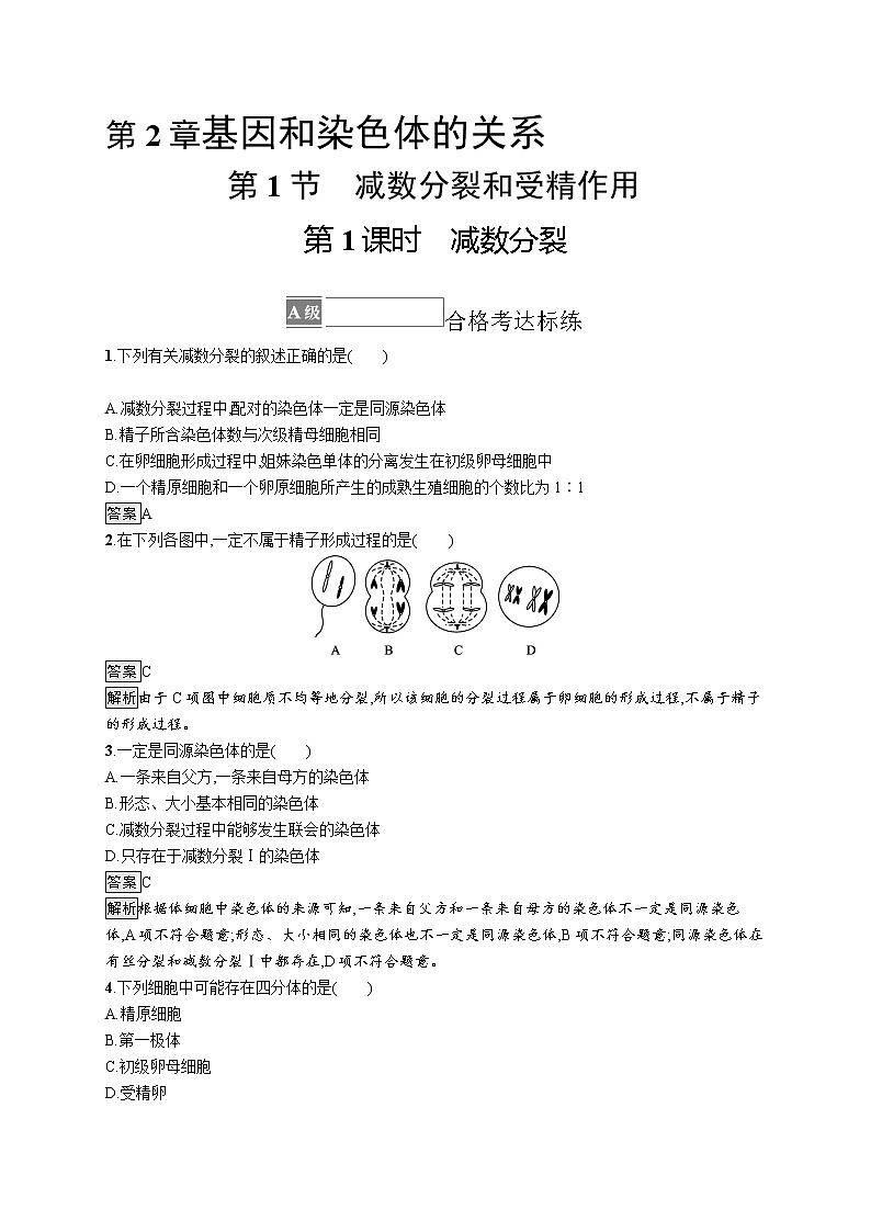 第1节　第1课时　减数分裂 试卷01