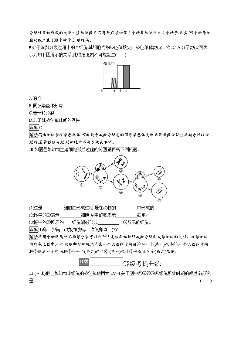 第1节　第1课时　减数分裂 试卷03