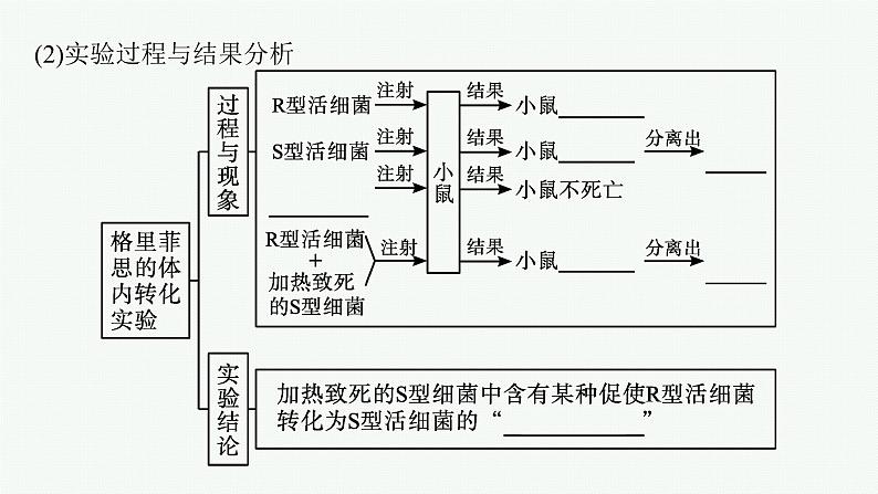 第1节　DNA是主要的遗传物质课件PPT07