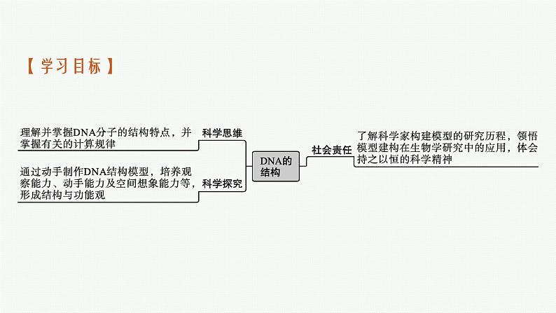 第2节　DNA的结构课件PPT03