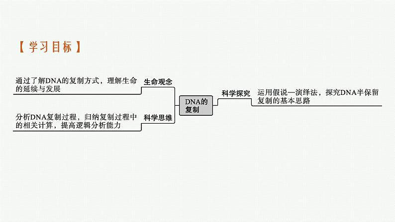 第3节　DNA的复制课件PPT03