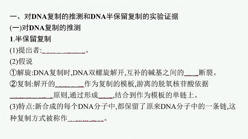 第3节　DNA的复制课件PPT05