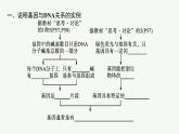 第4节　基因通常是有遗传效应的DNA片段课件PPT