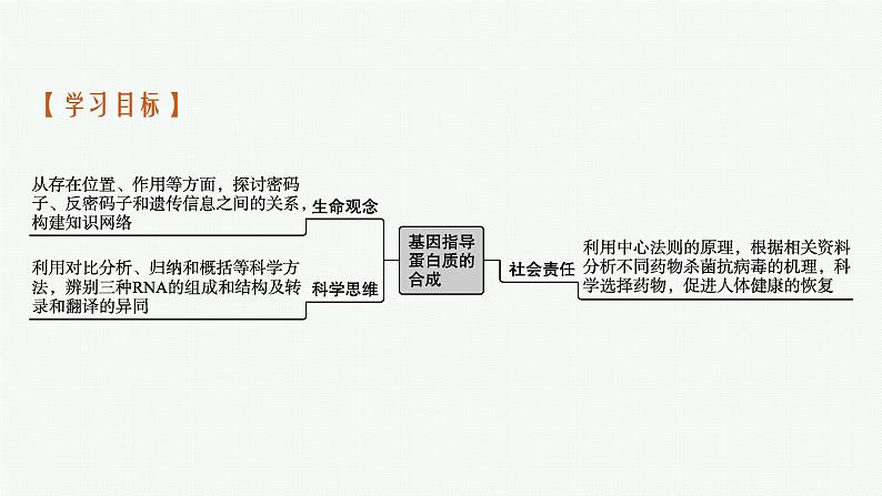 第1节　基因指导蛋白质的合成课件PPT03