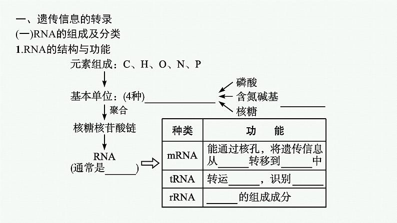 第1节　基因指导蛋白质的合成课件PPT05