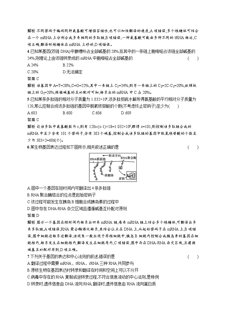 第1节　基因指导蛋白质的合成第2页