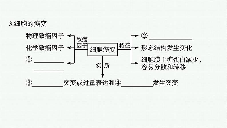 第1节　基因突变和基因重组课件PPT第7页