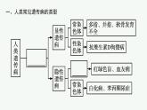 第3节　人类遗传病课件PPT